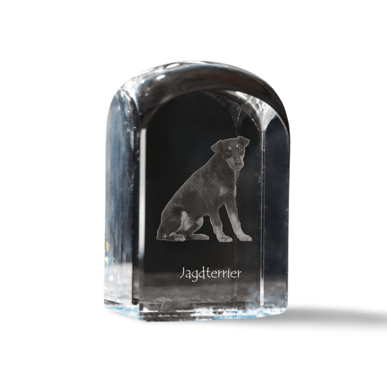 Artdog Nemški lovski terier, Jagdterrier - kristalna kocka s fotografijo, fotografija psa v kristalu, kubični obtežilnik za papir Art-Dog