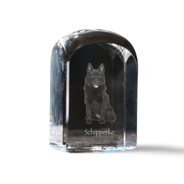 Artdog Schipperke - kristalna kocka s fotografijo, fotografija psa v kristalu, kubični obtežilnik za papir Art-Dog