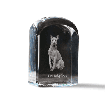 Artdog Thai Ridgeback - kristalna kocka s fotografijo, fotografija psa v kristalu, kubični obtežilnik za papir Art-Dog