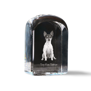 Artdog Ameriški toy terier, Toy fox terier - kristalna kocka s fotografijo, fotografija psa v kristalu, kubični obtežilnik za papir Art-Dog