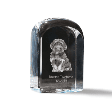 Artdog Bologna, ruska pisana bolonja - kristalna kocka s fotografijo, fotografija psa v kristalu, kubični obtežilnik za papir Art-Dog