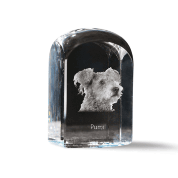 Artdog Pumi - kristalna kocka s fotografijo, fotografija psa v kristalu, kubični obtežilnik za papir Art-Dog
