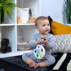 Baby Einstein senzorična glasbena igrača Color Palette Popper 6-36m