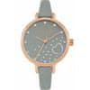 Daisy Dixon Ura ženska Daisy Dixon DD083ERG (Ø 36 mm)