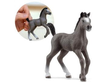 Schleich 13957 Schleich Horse Club - Žrebe pasme selle français, figurica za otroke od 5 let