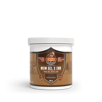 Green Idea MSM gel s CBD 500 ml