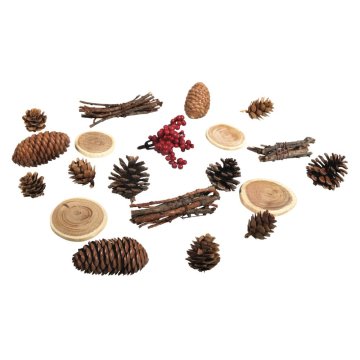 Rayher.	 Natur mix s storžki, 2-6cm, 20 kosov