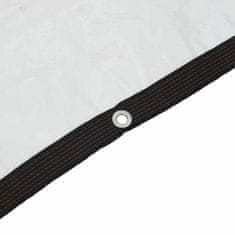 Vidaxl vidaXL Prozorna ponjava z očesci 4 x 4 m polietilen