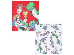 Disney 2x Fantovska pižama Toy Story DISNEY 5-6 lat 116 cm