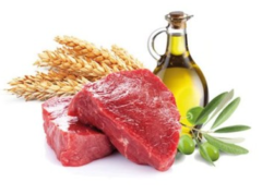 Vincent Diet Adult Pate za pse, govedina & pira, 22x150 g