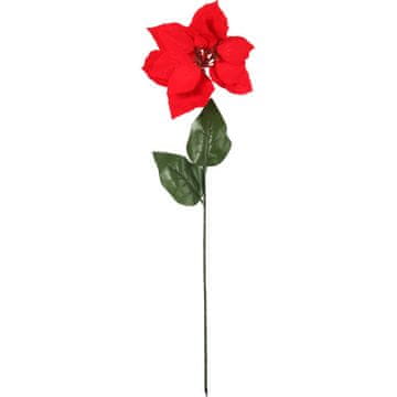 shumee Enojni cvet Betlehemske zvezde božične zvezde 64 cm