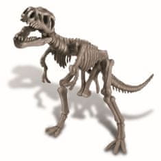 Mac Toys 4M okostje dinozavra - REX