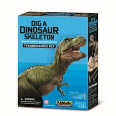 Mac Toys 4M okostje dinozavra - REX
