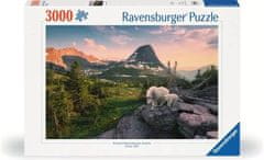 Ravensburger slikovita narava in živali sestavljanka, 3000 delov