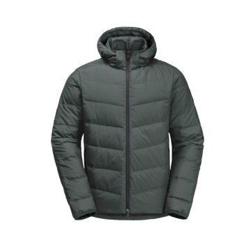 Jack Wolfskin Jakne uniwersalne zelena 12074314136