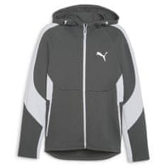 Puma Športni pulover 176 - 181 cm/M Evostripe