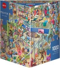Heye Puzzle Animal gym 1000 kosov