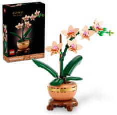 Botanicals 10343 Mini orhideja