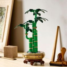 LEGO Botanicals 10344 Bambus za srečo