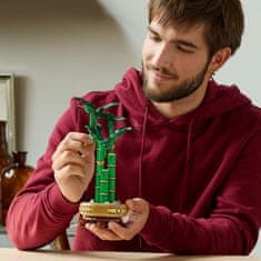 LEGO Botanicals 10344 Bambus za srečo