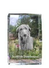 Artdog Škotski hrt, Deerhound - kristal s fotografijo psa, fotografija v steklu, sodobna fotografska razstava Art-Dog