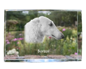 Artdog Ruski Borzoi, Borzoi, Barzoi - kristal s fotografijo psa, fotografija v steklu, sodobna fotografska razstava Art-Dog