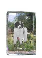 Artdog Tornjak, bosansko-hrvaški ovčar - kristal s fotografijo psa, fotografija v steklu, razstava modernih fotografij Art-Dog