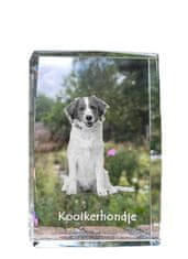 Artdog Kooikerhondje - kristal s fotografijo psa, fotografija v steklu, razstava sodobnih fotografij Art-Dog