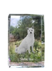 Artdog Shiba Inu - kristal s fotografijo psa, fotografija v steklu, sodobna fotografska razstava Art-Dog