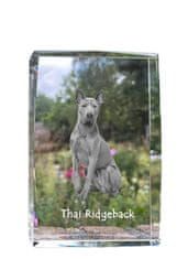 Artdog Thai Ridgeback - kristal s fotografijo psa, fotografija v steklu, sodobna fotografska razstava Art-Dog