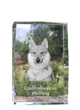 Artdog Češkoslovaški volčjak, češkoslovaški volčjak - kristal s fotografijo psa, fotografija v steklu, sodobna fotografska razstava Art-Dog