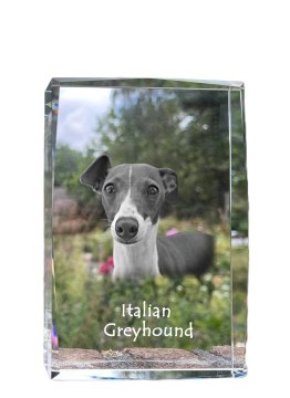 Artdog Italijanski hrt, italijanski hrt - kristal s fotografijo psa, fotografija v steklu, sodobna fotografska razstava Art-Dog