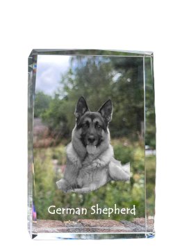 Artdog Nemški ovčar, alzaški - kristal s fotografijo psa, fotografija v steklu, sodobna fotografska razstava Art-Dog