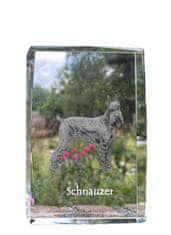 Artdog Šnavcer, šnavcer - kristal s fotografijo psa, fotografija v steklu, sodobna fotografska razstava Art-Dog