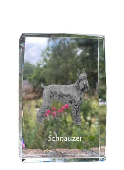 Artdog Šnavcer, šnavcer - kristal s fotografijo psa, fotografija v steklu, sodobna fotografska razstava Art-Dog