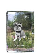 Artdog Šnavcer, Šnavcer I - kristal s fotografijo psa, fotografija v steklu, sodobna fotografska razstava znamke Art-Dog