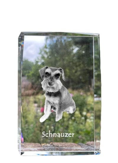 Artdog Šnavcer, Šnavcer I - kristal s fotografijo psa, fotografija v steklu, sodobna fotografska razstava znamke Art-Dog