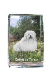 Artdog Coton de Tulear - kristal s fotografijo psa, fotografija v steklu, sodobna fotografska razstava znamke Art-Dog