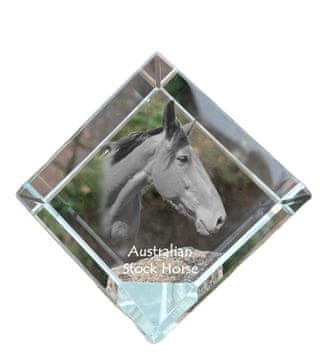 Artdog Avstralski plemenski konj - kristalna kocka s fotografijo konja, fotografija konja v kristalu, kubični obtežilnik za papir Art-Dog