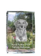 Artdog Nova Scotia Duck Tolling Retriever, Toller - kristal s fotografijo psa, fotografija v steklu, sodobna fotografska razstava Art-Dog