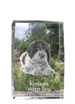 Artdog Romanski vodni pes - kristal s fotografijo psa, fotografija v steklu, sodobna fotografska razstava blagovne znamke Art-Dog