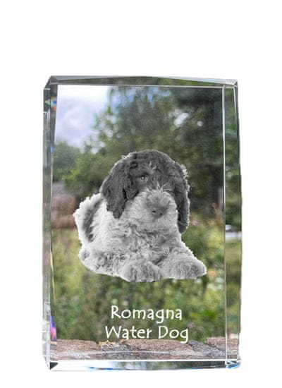 Artdog Romanski vodni pes - kristal s fotografijo psa, fotografija v steklu, sodobna fotografska razstava blagovne znamke Art-Dog