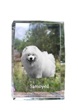 Artdog Samojed, Samojed, Samojedskaja - kristal s fotografijo psa, fotografija v steklu, sodobna fotografska razstava Art-Dog