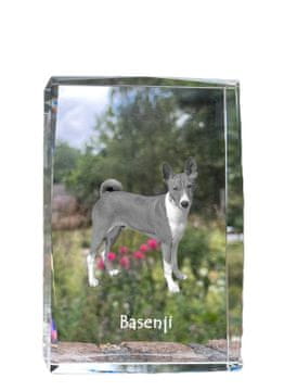 Artdog Basenji, Basenji, Congo Dog - kristal s fotografijo psa, fotografija v steklu, sodobna fotografska razstava Art-Dog