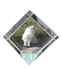 Artdog Himalayan - kristalna kocka s fotografijo mačke, fotografija konja v kristalu, kubični obtežilnik za papir Art-Dog