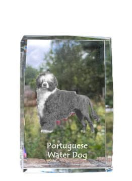 Artdog Portugalski vodni pes - kristal s fotografijo psa, fotografija v steklu, sodobna fotografska razstava Art-Dog