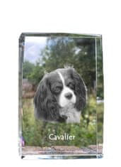 Artdog Cavalier King Charles Spaniel - kristal s fotografijo psa, fotografija v steklu, sodobna fotografska razstava Art-Dog