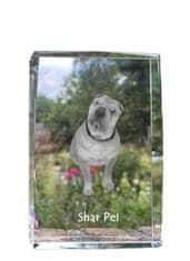 Artdog Shar Pei - kristal s fotografijo psa, fotografija v steklu, sodobna fotografska razstava Art-Dog