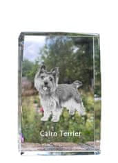 Artdog Cairn terier - kristal s fotografijo psa, fotografija v steklu, sodobna fotografska razstava znamke Art-Dog