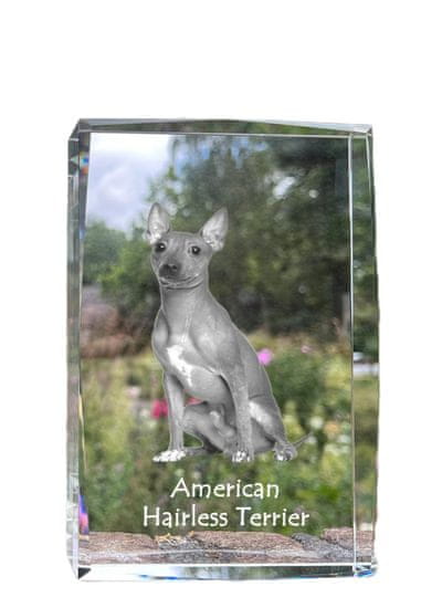 Artdog Ameriški goli terier - kristal s fotografijo psa, fotografija v steklu, sodobna fotografska razstava Art-Dog